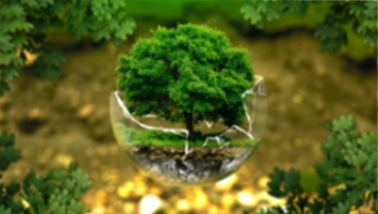 Climate Watchers Association